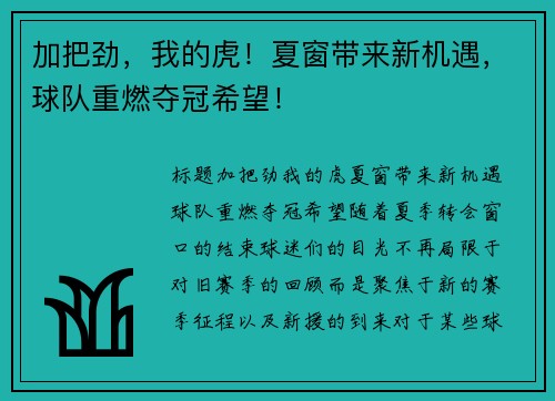 加把劲，我的虎！夏窗带来新机遇，球队重燃夺冠希望！