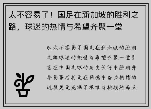 太不容易了！国足在新加坡的胜利之路，球迷的热情与希望齐聚一堂