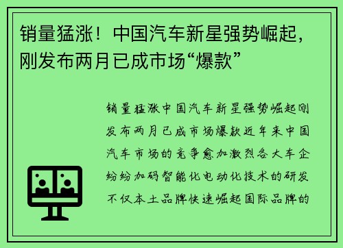 销量猛涨！中国汽车新星强势崛起，刚发布两月已成市场“爆款”