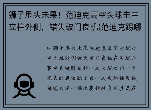 狮子甩头未果！范迪克高空头球击中立柱外侧，错失破门良机(范迪克踢哪边)